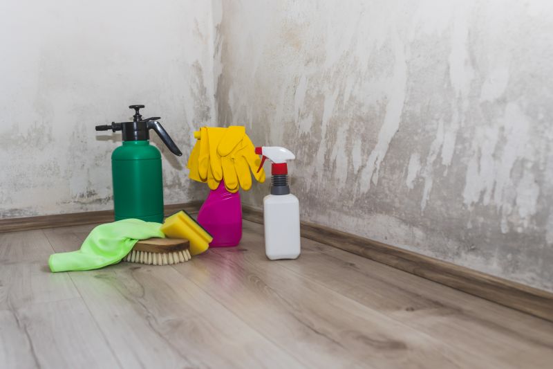 How Mold Remediation Protects Indoor Air