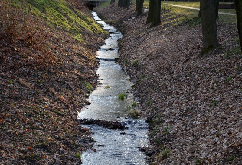 Landscape Drainage