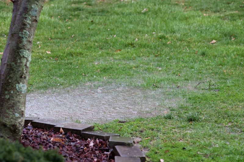 Landscape Drainage