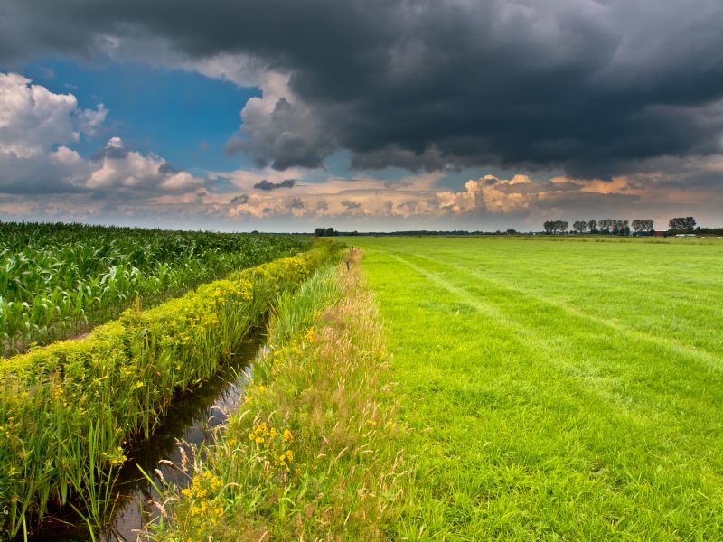Landscape Drainage