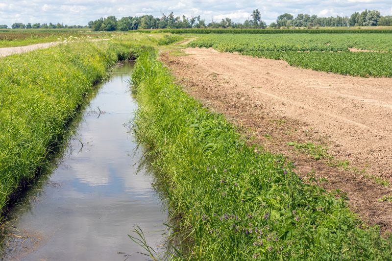 Landscape Drainage