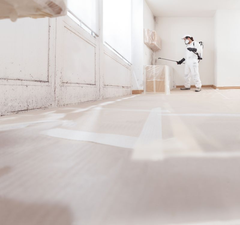 Mold Remediation